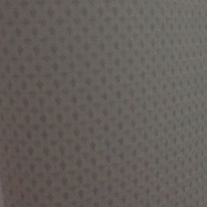 Meet your Posher, Lizet